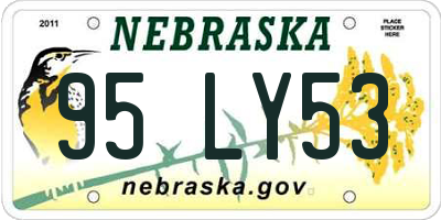 NE license plate 95LY53