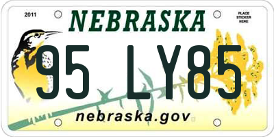 NE license plate 95LY85