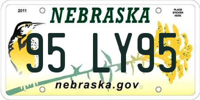 NE license plate 95LY95