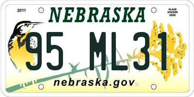NE license plate 95ML31