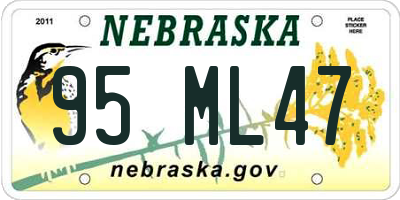 NE license plate 95ML47