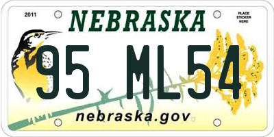 NE license plate 95ML54