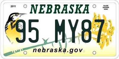 NE license plate 95MY87