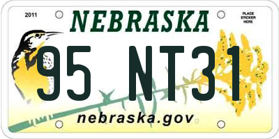 NE license plate 95NT31
