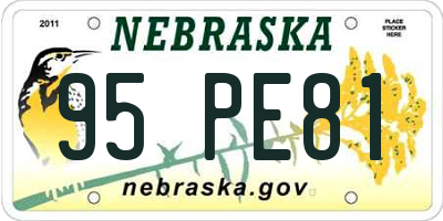 NE license plate 95PE81