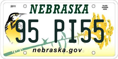 NE license plate 95PI55