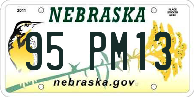 NE license plate 95PM13