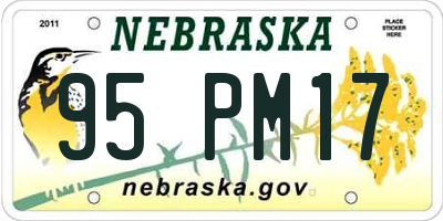NE license plate 95PM17