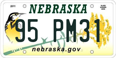 NE license plate 95PM31