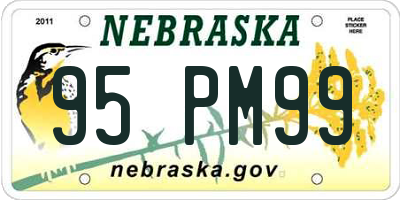 NE license plate 95PM99