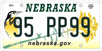 NE license plate 95PP99