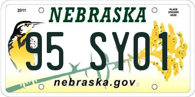 NE license plate 95SY01