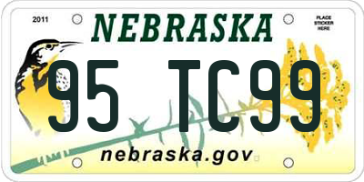 NE license plate 95TC99