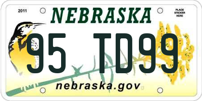 NE license plate 95TD99