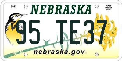 NE license plate 95TE37