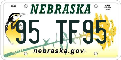 NE license plate 95TF95