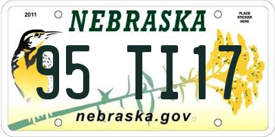 NE license plate 95TI17