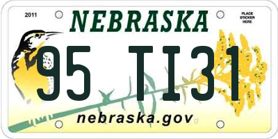 NE license plate 95TI31