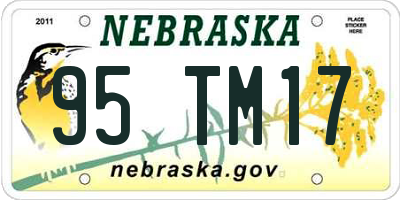NE license plate 95TM17
