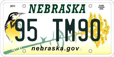 NE license plate 95TM90