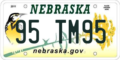 NE license plate 95TM95