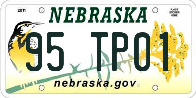 NE license plate 95TP01