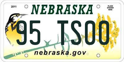 NE license plate 95TS00