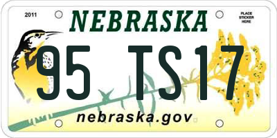 NE license plate 95TS17