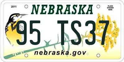NE license plate 95TS37