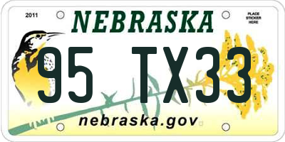 NE license plate 95TX33
