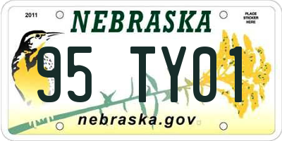 NE license plate 95TY01