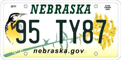 NE license plate 95TY87