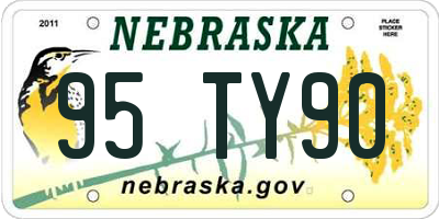 NE license plate 95TY90