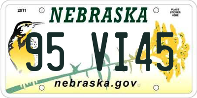 NE license plate 95VI45