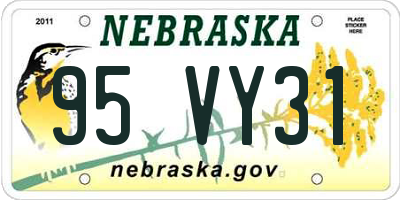 NE license plate 95VY31