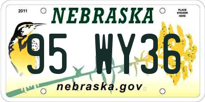 NE license plate 95WY36
