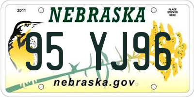 NE license plate 95YJ96