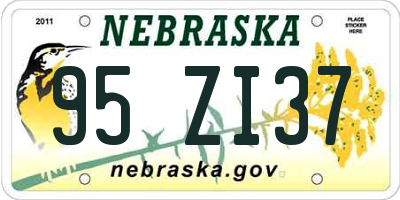 NE license plate 95ZI37