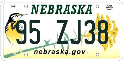 NE license plate 95ZJ38