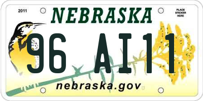 NE license plate 96AI11