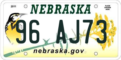 NE license plate 96AJ73