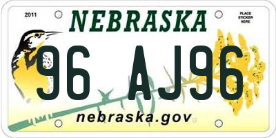 NE license plate 96AJ96