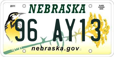 NE license plate 96AY13