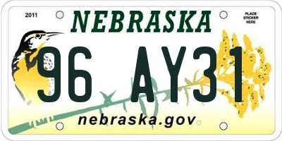 NE license plate 96AY31