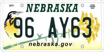NE license plate 96AY63