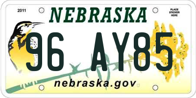 NE license plate 96AY85