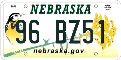 NE license plate 96BZ51