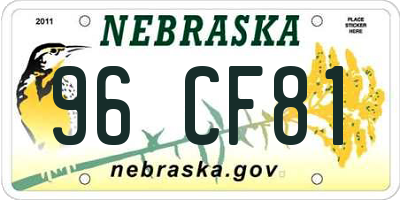 NE license plate 96CF81