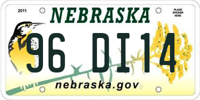 NE license plate 96DI14