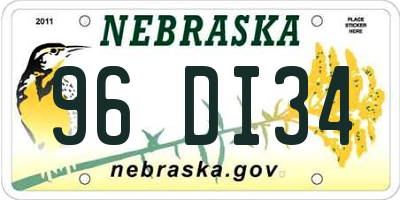 NE license plate 96DI34